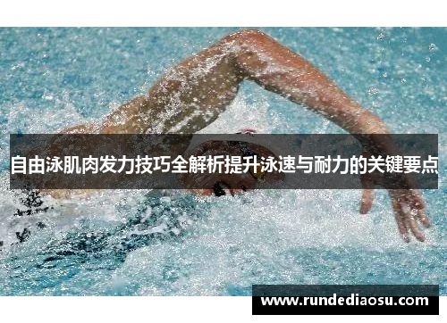 自由泳肌肉发力技巧全解析提升泳速与耐力的关键要点